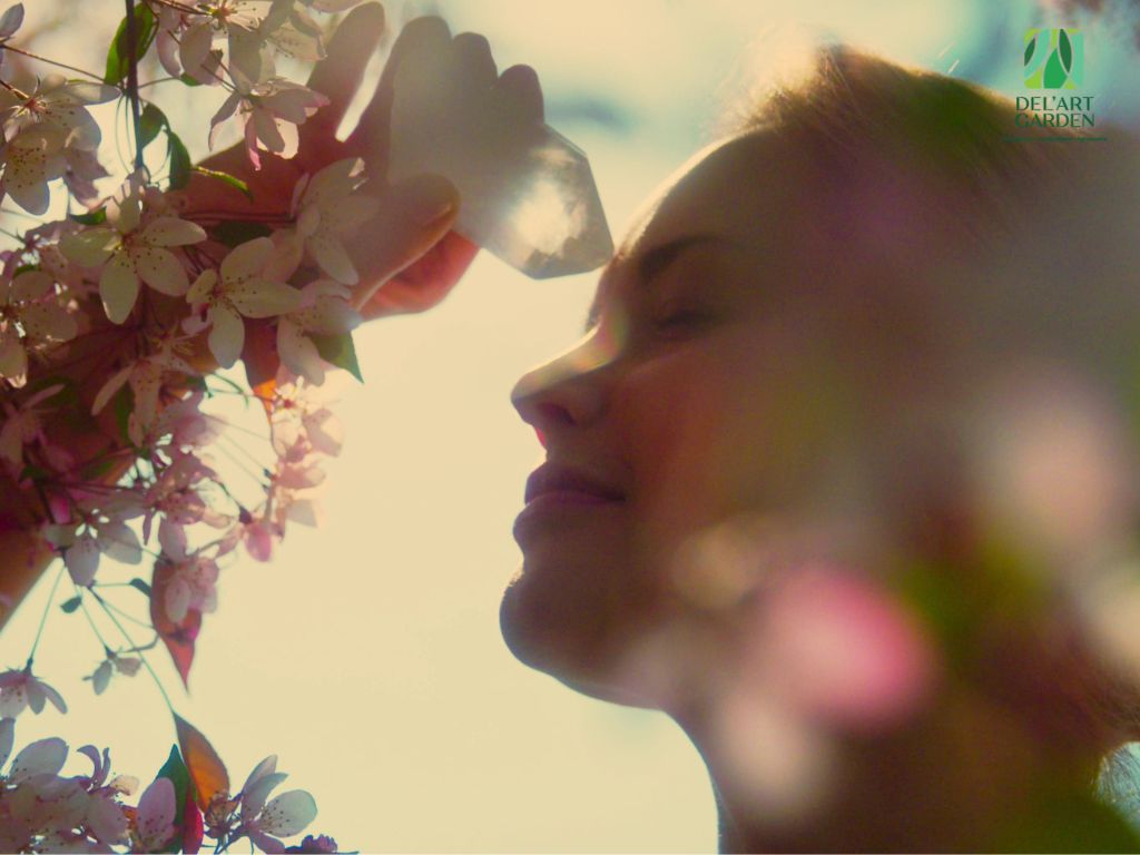 Jardins Terapêuticos